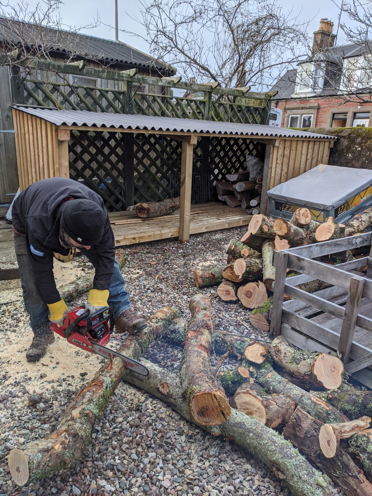 Ian cutting the apple tree logs