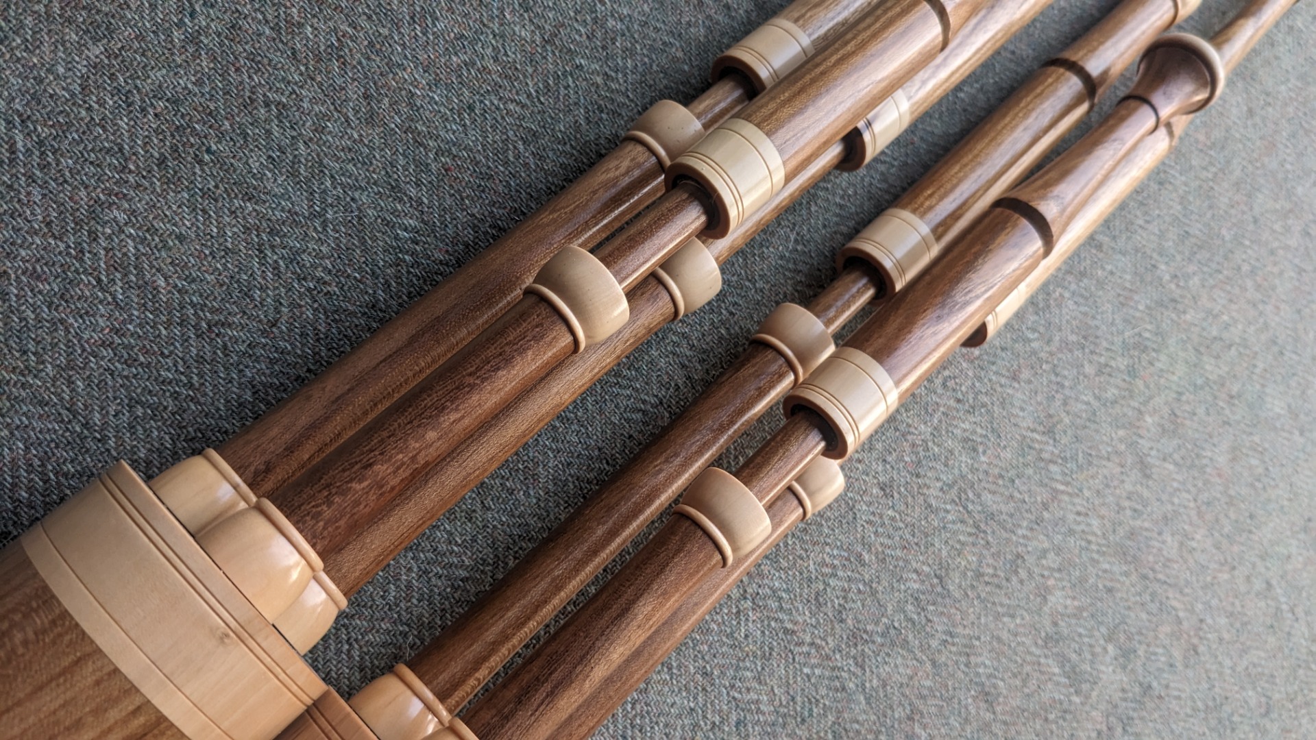 2 sister sets of SSPs in Laburnum