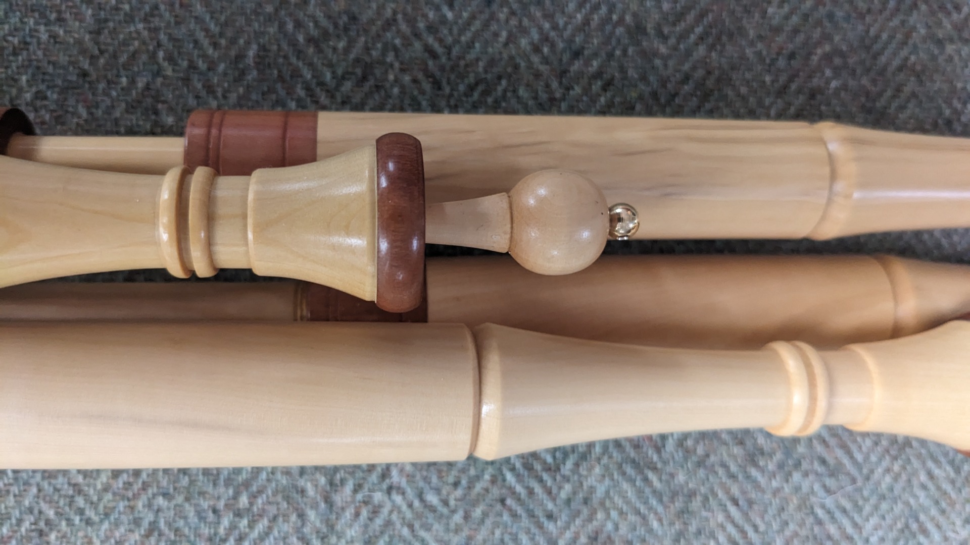 Boxwood with drone stoppers